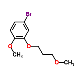4-溴-1-甲氧基-2-(3-甲氧基丙氧基)苯结构式