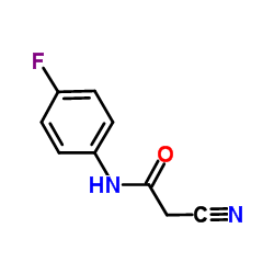 2-Cyano-N-(4-fluorophenyl)acetamide Structure