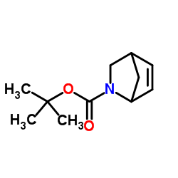 2-氮杂双环[2.2.1]-5-庚烯-2-羧酸叔丁酯图片