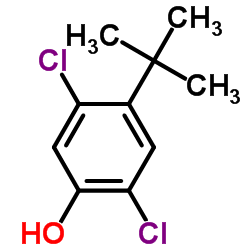 2,5-Dichloro-4-(2-methyl-2-propanyl)phenol Structure