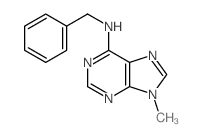 9H-Purin-6-amine,9-methyl-N-(phenylmethyl)-结构式
