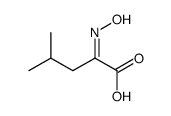 2-hydroxyimino-4-methylpentanoic acid Structure