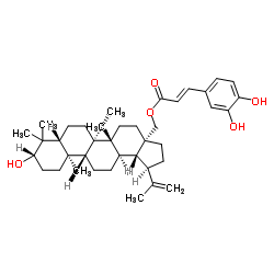 Betulin 3-caffeate Structure