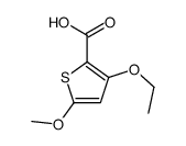 2-Thiophenecarboxylicacid,3-ethoxy-5-methoxy-(9CI)结构式