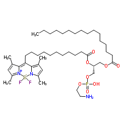 1-棕榈酰基-2-(二氟亚甲基二硼化硼)十一烷酰基-sn-甘油-3-磷酸乙醇胺结构式