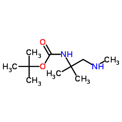 2-甲基-2-丙基[2-甲基-1-(甲基氨基)-2-丙基]氨基甲酸酯结构式