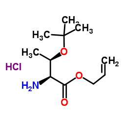 O-叔丁基-L-苏氨酸烯丙酯盐酸盐图片