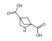 3-azabicyclo[2.1.1]hexane-1,4-dicarboxylic acid Structure