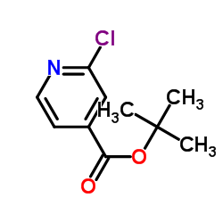 2-氯异烟酸叔丁酯结构式