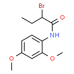 2-Bromo-N-(2,4-dimethoxyphenyl)butanamide Structure