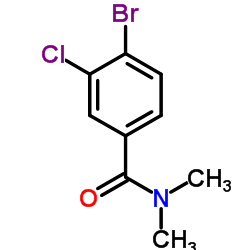 4-Bromo-3-chloro-N,N-dimethylbenzamide结构式