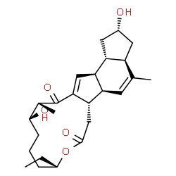 多杀菌素D苷元结构式