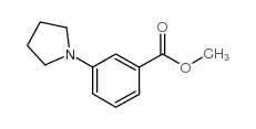 3-吡咯烷-1-苯甲酸甲酯结构式
