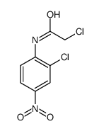 2-Chloro-N-(2-chloro-4-nitro-phenyl)-acetamide picture