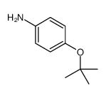 4-叔丁氧基苯胺图片
