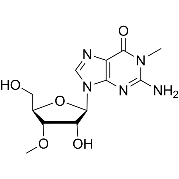 1,3'-Dimethylguanosine Structure