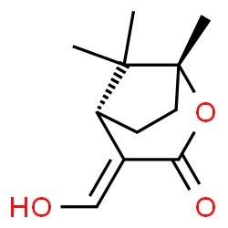 2-Oxabicyclo[3.2.1]octan-3-one,4-(hydroxymethylene)-1,8,8-trimethyl-,(1R,4E,5S)-(9CI)结构式