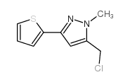 5-(氯甲基)-1-甲基-3-噻吩-2-基-1H-吡唑结构式