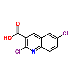 2,6-Dichloro-3-quinolinecarboxylic acid Structure