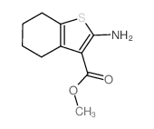 2-氨基-4,5,6,7-四氢苯并[b]噻吩-3-羧酸甲酯图片
