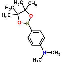 4-(N,N-二甲氨基)苯硼酸频那醇酯结构式