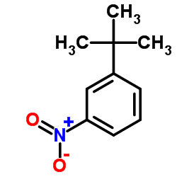 间叔丁基硝基苯结构式