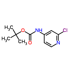 4-(Boc-氨基)-2-氯吡啶结构式