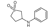N-(1,1-二氧化四氢噻吩-3-基)-N-苯胺结构式
