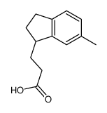 3-(6-methyl-2,3-dihydro-1H-inden-1-yl)propanoic acid Structure
