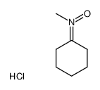 N-cyclohexylidenemethanamine N-oxide hydrochloride Structure