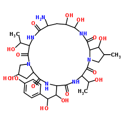 棘白菌素B结构式
