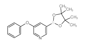 5-Phenoxypyridine-3-boronic acid pinacol ester structure