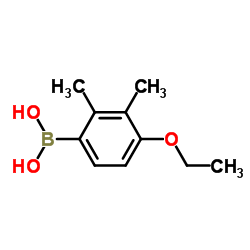 4-Ethoxy-2,3-dimethylphenylboronic acid Structure