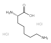 h-l-homolys-oh hcl Structure