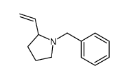 1-benzyl-2-ethenylpyrrolidine结构式