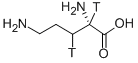 L-ORNITHINE-[2,3-3H] structure