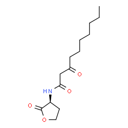 N-3-oxo-decanoyl-L-Homoserine lactone picture