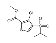 3-氯-4-(异丙基磺酰基)噻吩-2-羧酸甲酯结构式