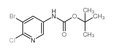 (5-溴-6-氯-3-吡啶)-氨基甲酸叔丁酯结构式