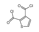 2,3-Thiophenedicarbonyl dichloride (9CI) Structure