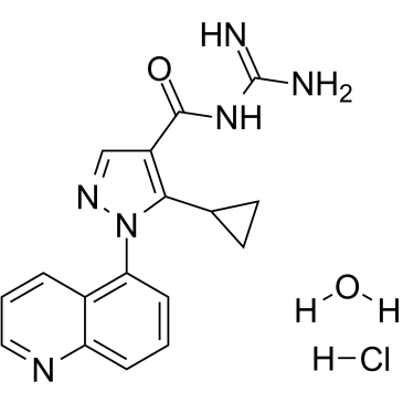 Zoniporide hydrochloride hydrate picture