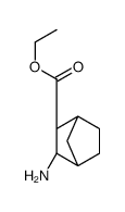 乙基3-氨基双环[2.2.1]庚烷-2-羧酸酯结构式