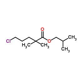 5-氯-2,2-二甲基戊酸异丁酯结构式