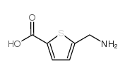 5-(氨基甲基)噻吩-2-羧酸结构式