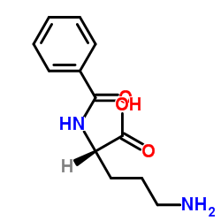 N2-苯甲酰基-L-鸟氨酸图片