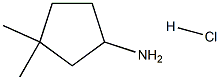 3,3-二甲基环戊烷-1-胺盐酸盐结构式