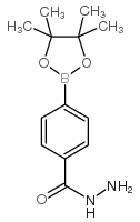 4-(肼羰基)苯基硼酸频哪醇酯图片