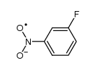 3-fluoronitrobenzene radical anion结构式