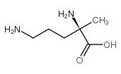 D-Ornithine, 2-methyl- (9CI)结构式