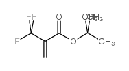 tert-Butyl2-(trifluoromethyl)acrylate structure